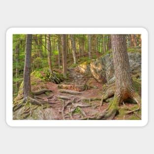 Green Mountain Forest Trail Sticker